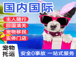 吴圩机场快运国际宠物托运 【国